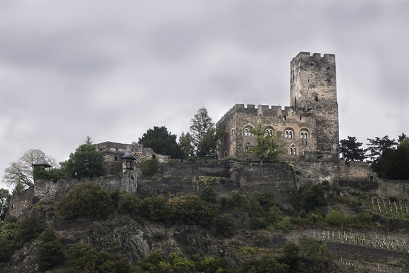 Rhein River Castle 6