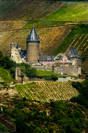 Rhein Castles 1